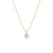 Gold Plated CZ Got Chain & Pendant