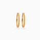 Gold Plated Everyday Coin Motif Bangle Set