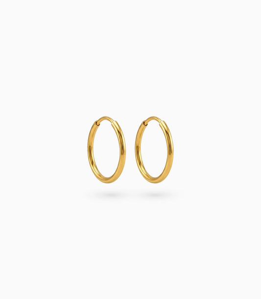 Gold Plated Everyday Casual Hoop Earrings