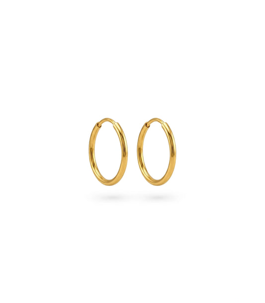 Gold Plated Everyday Casual Hoop Earrings