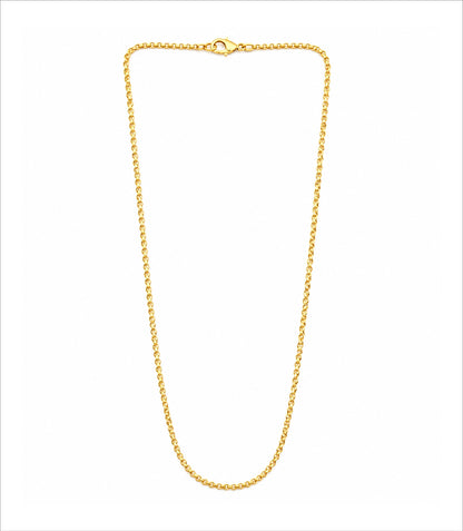 Gold Plated Cable Chain Necklace  DCN4965