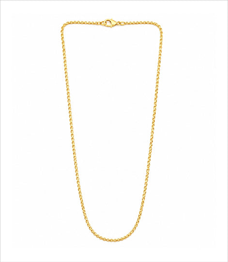 Gold Plated Cable Chain Necklace  DCN4965