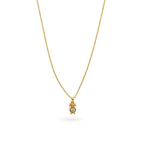 Gold Plated Owl Chain & Pendant