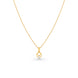 Gold Plated Versatile AD Chain & Pendant