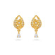 Gold Plated Brilliant AD Drop Earrings