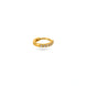 Gold Plated Multi-Stone AD Nose Ring