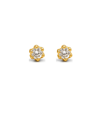 Gold Plated AD Stud Earrings