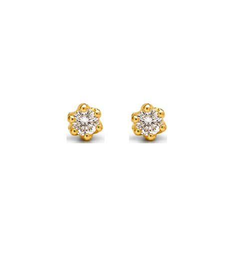 Gold Plated AD Stud Earrings