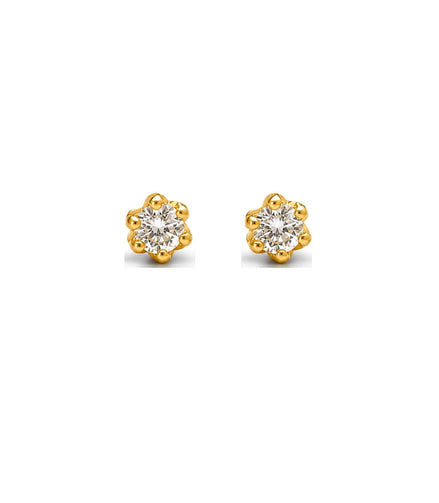 Gold Plated AD Stud Earrings